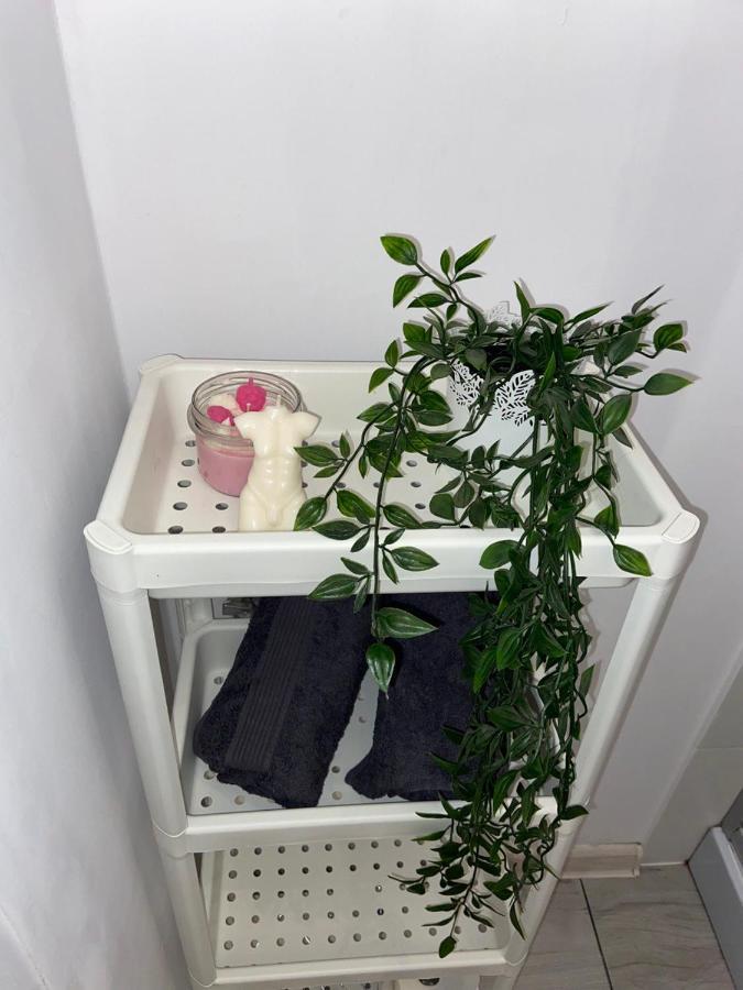 Apartament Grunwaldzka 比得哥什 外观 照片